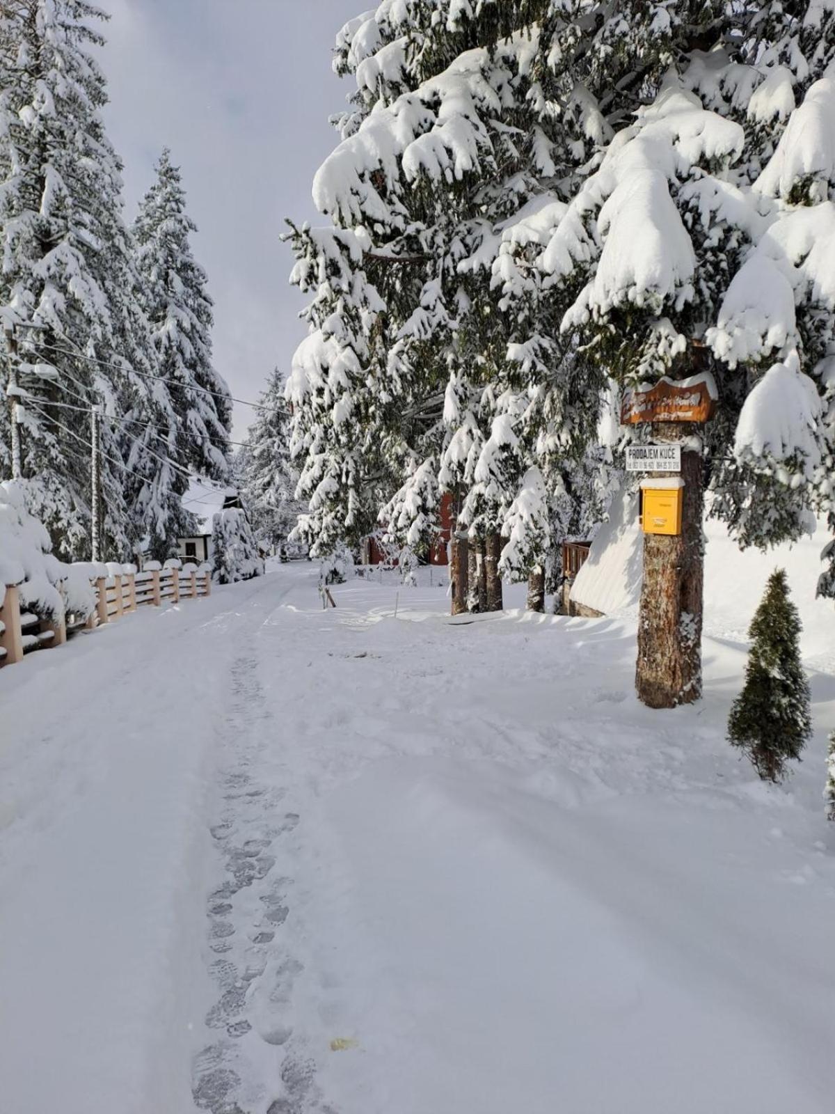 ZLATARSKA IDILA