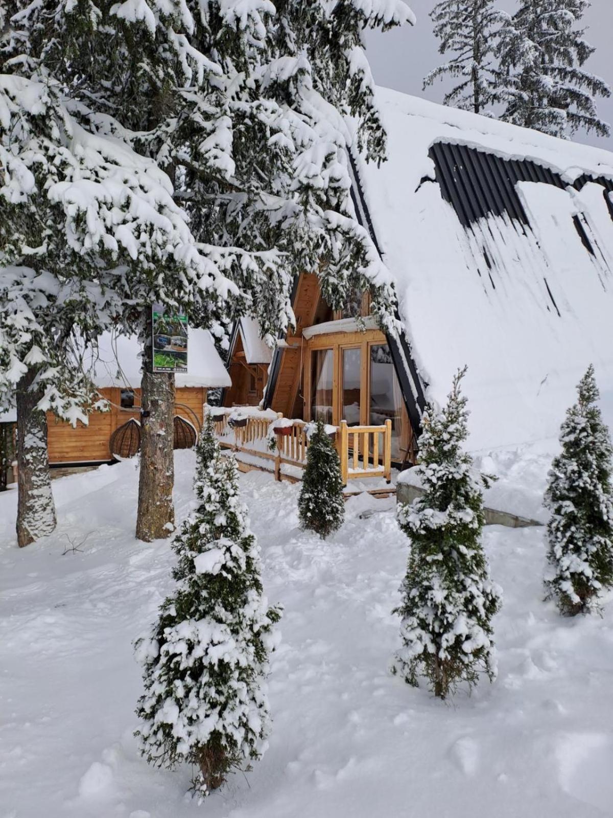 ZLATARSKA IDILA