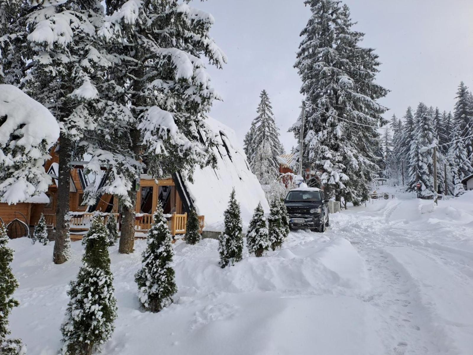 ZLATARSKA IDILA
