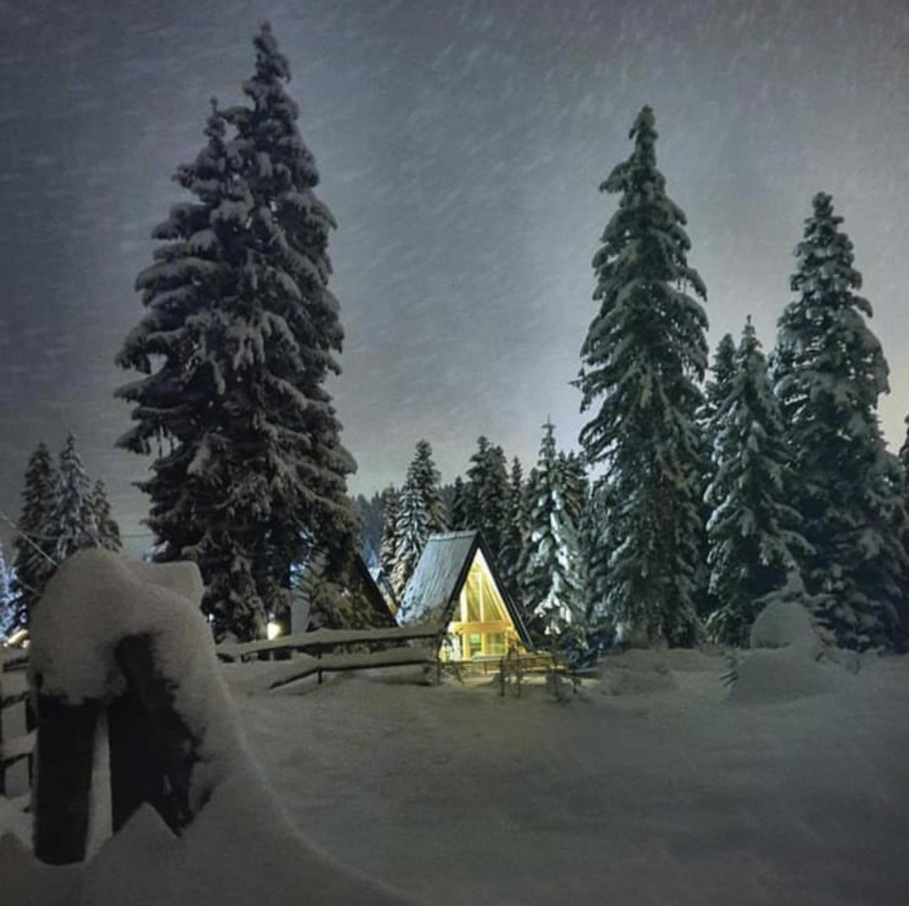 ZLATARSKA IDILA