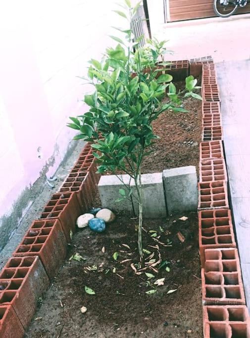 Photo 32