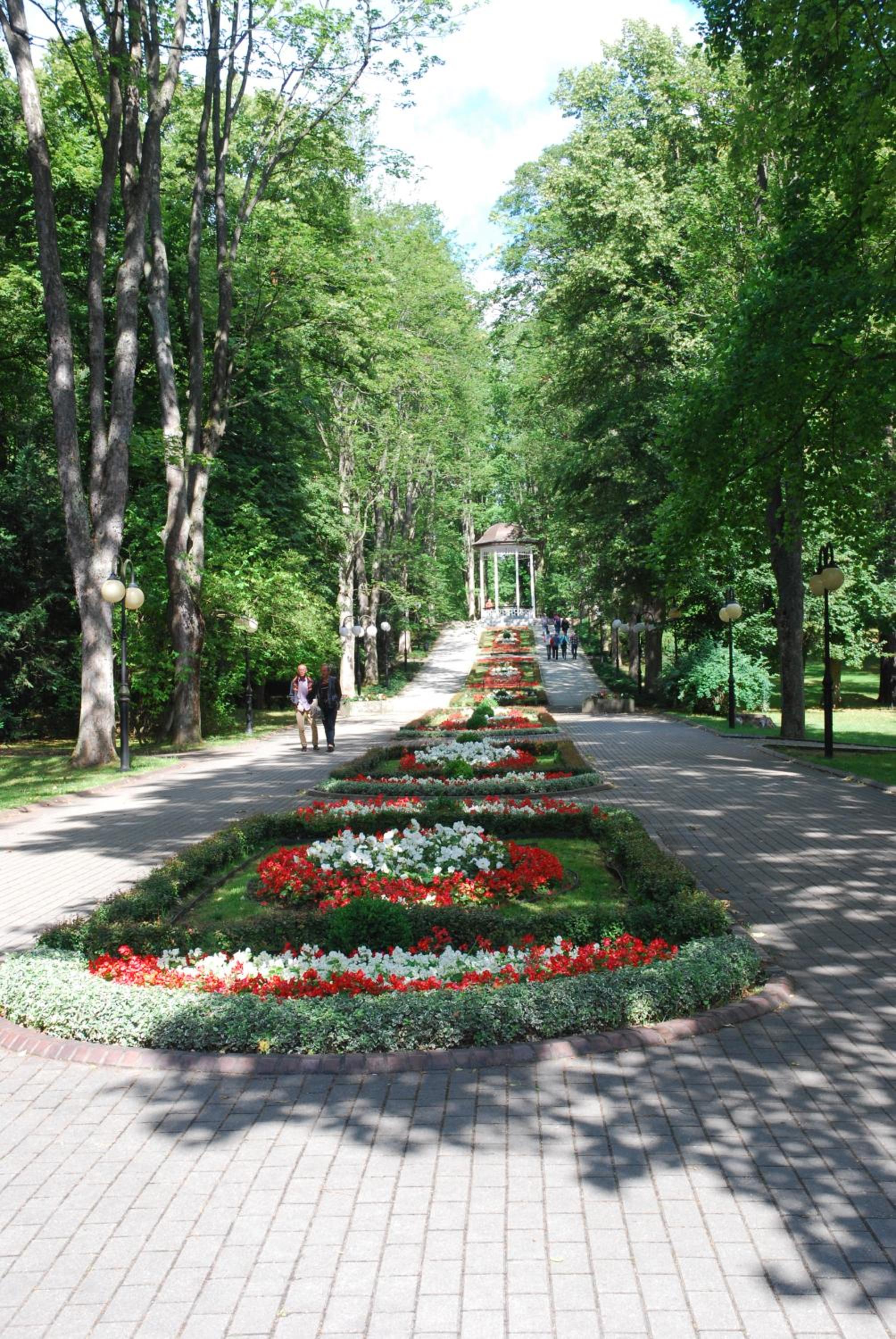 Apartament Parkowy w Polanicy Zdrój view 5