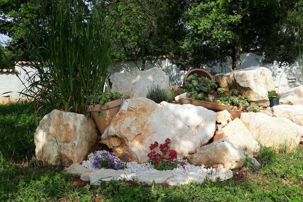 Nice holiday houses with Mediterranean garden view 2
