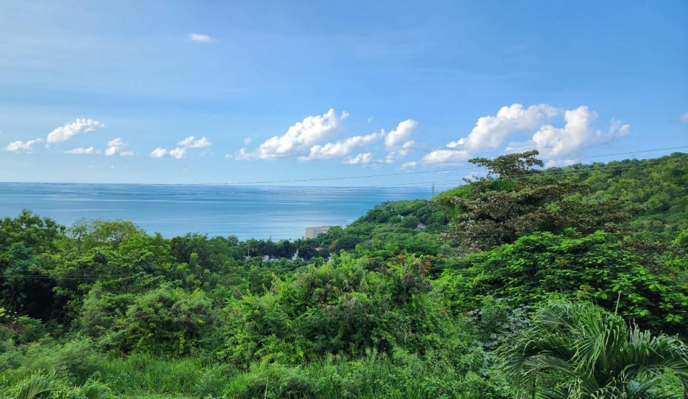 Paradise View at Halcyon Heights l Stunning Ocean View 1BR l 10 minute walk to the Beach