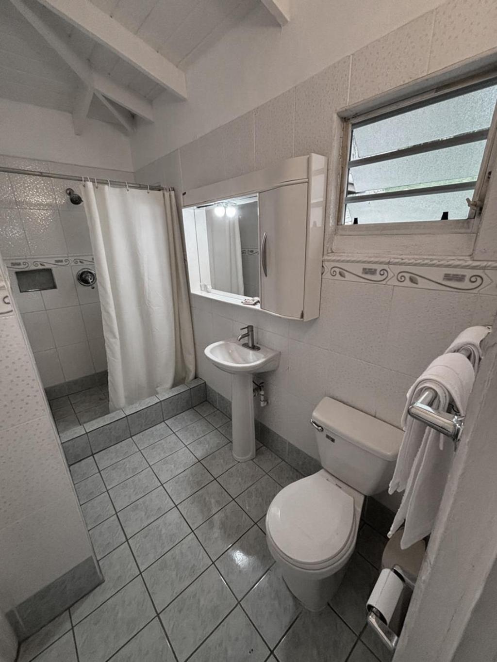 Paradise View at Halcyon Heights l Stunning Ocean View 1BR l 10 minute walk to the Beach