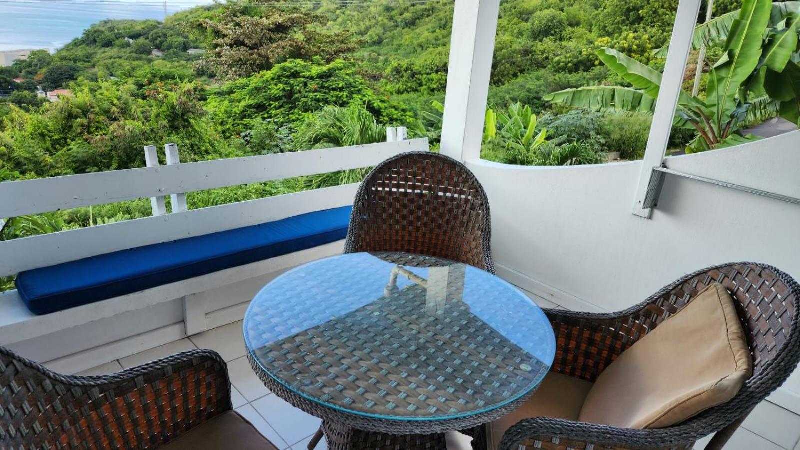 Paradise View at Halcyon Heights l Stunning Ocean View 1BR l 10 minute walk to the Beach
