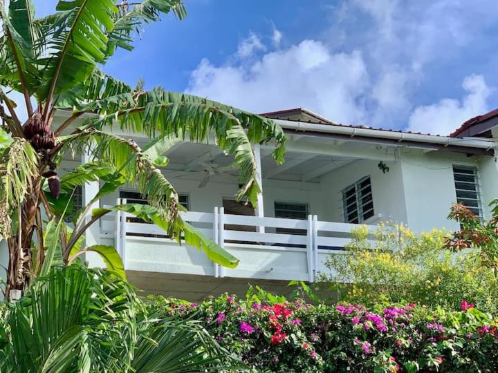Paradise View at Halcyon Heights l Stunning Ocean View 1BR l 10 minute walk to the Beach