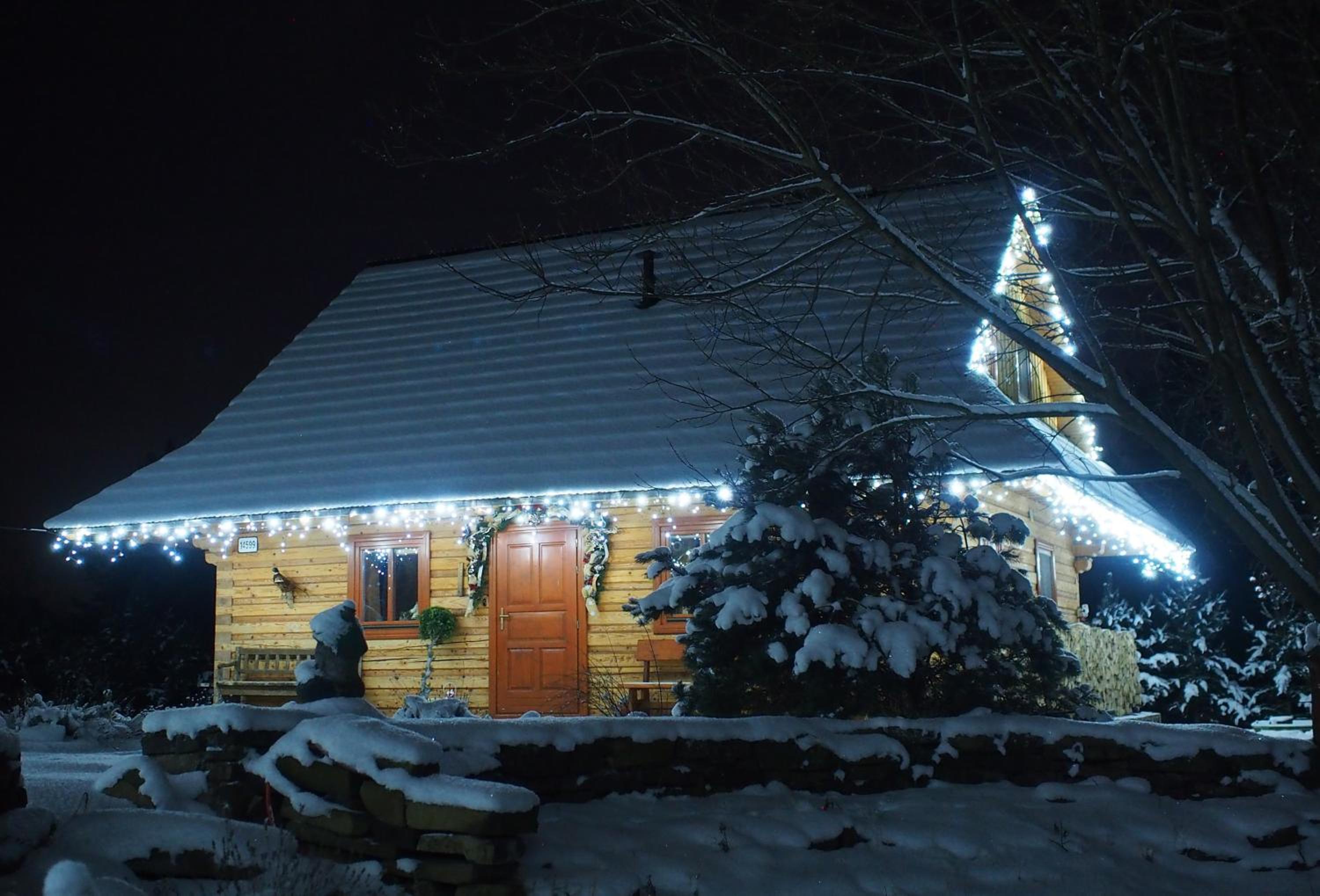 Photo 44