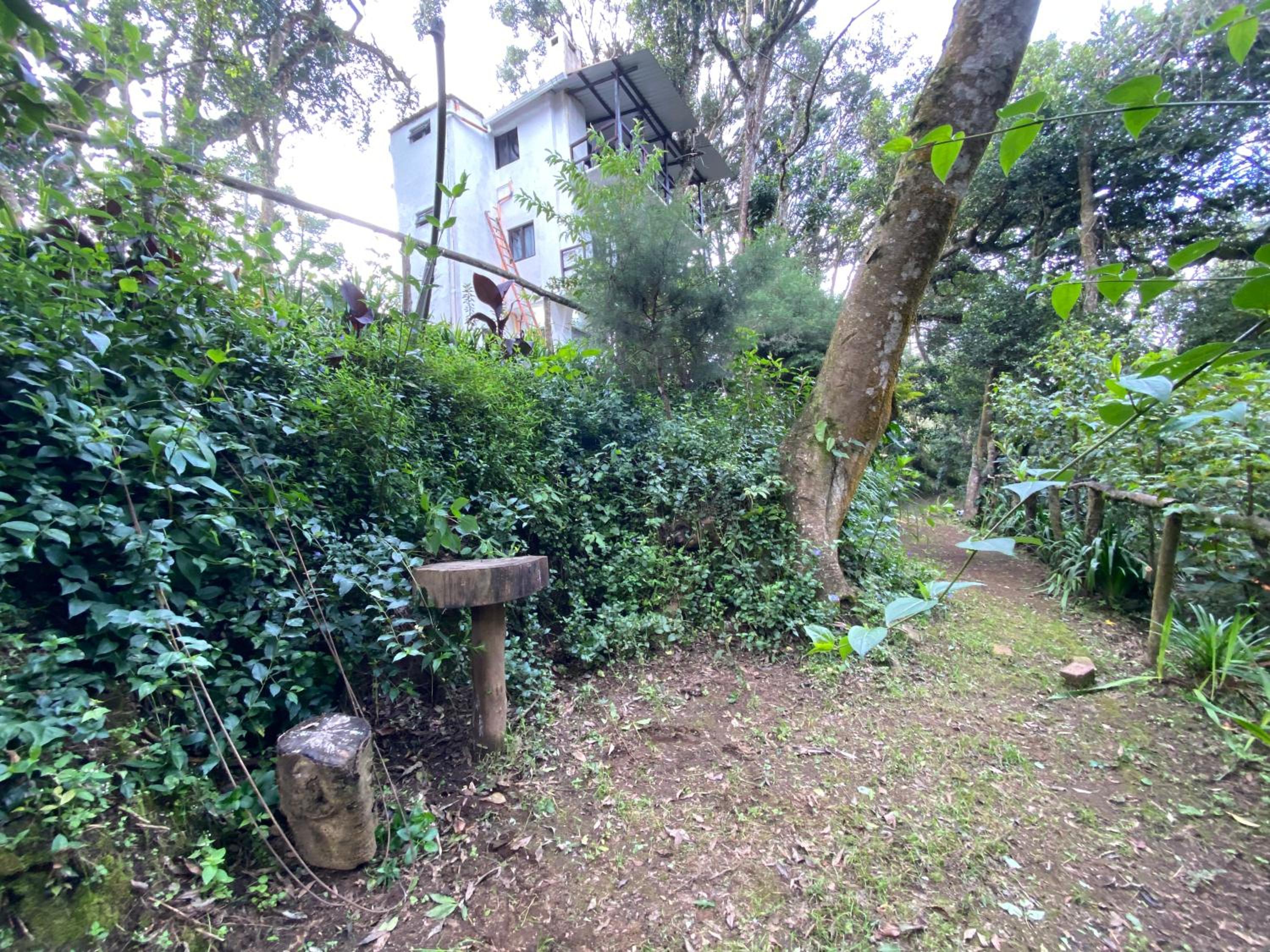 Photo 25