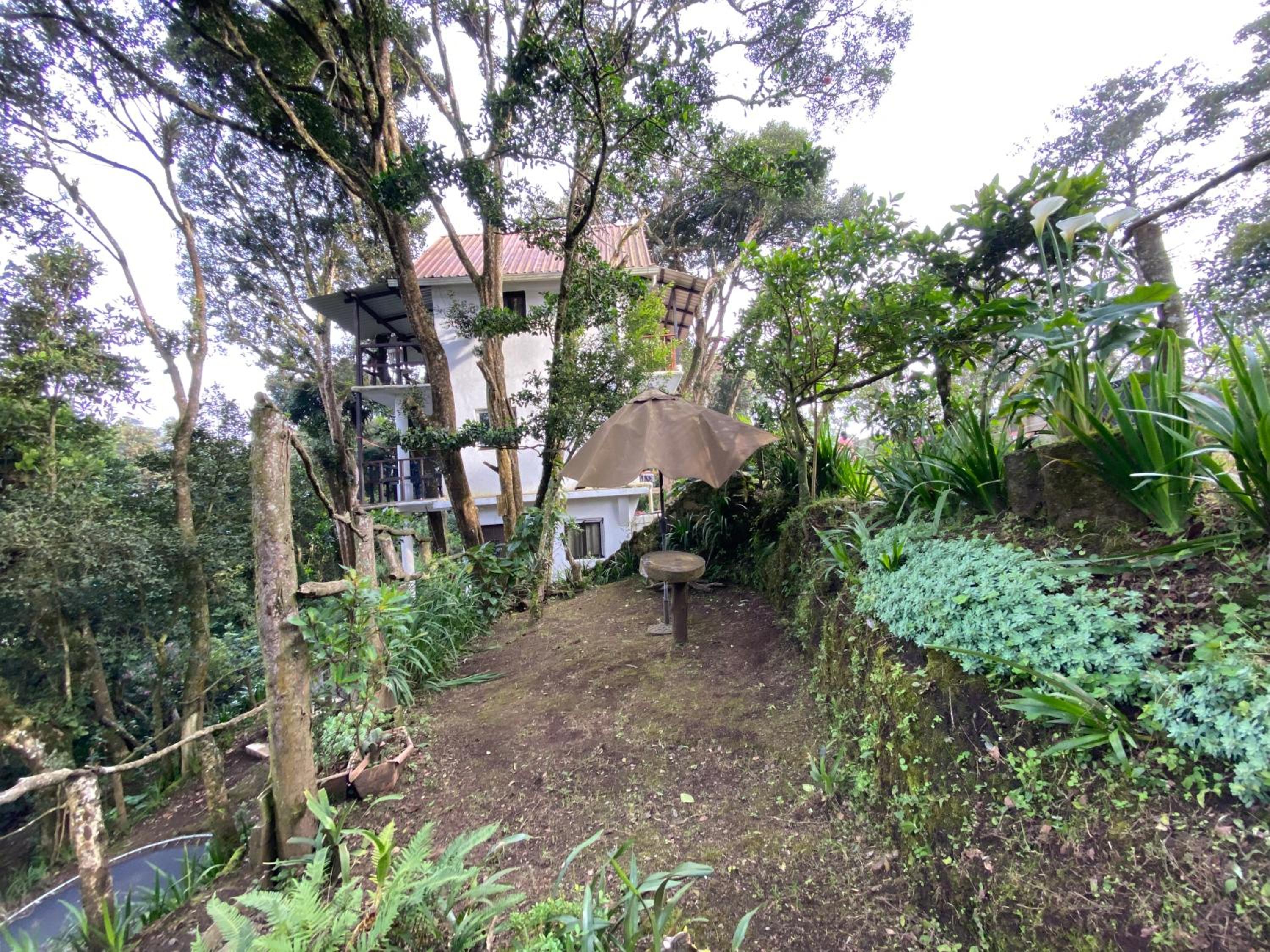 Photo 22