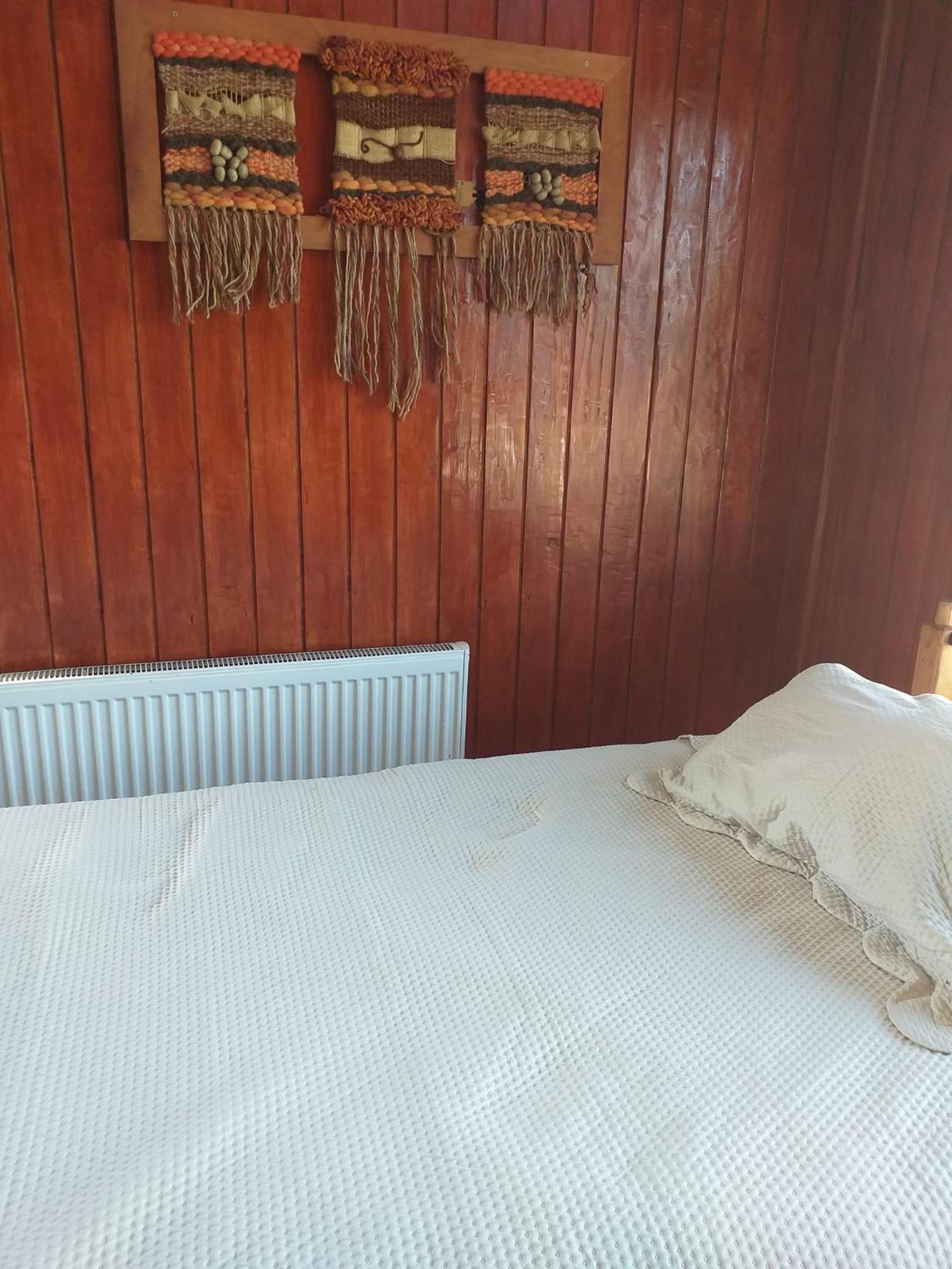 ANTU hostal cabaña