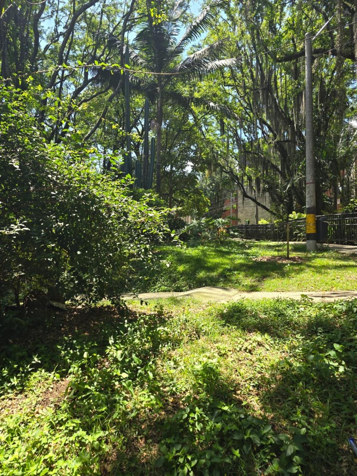 Apartamento en tricentenario