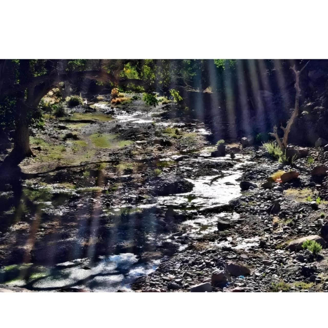 Photo 49