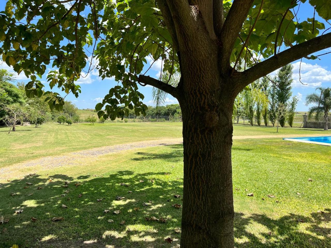 Casa de Campo Etchevehere