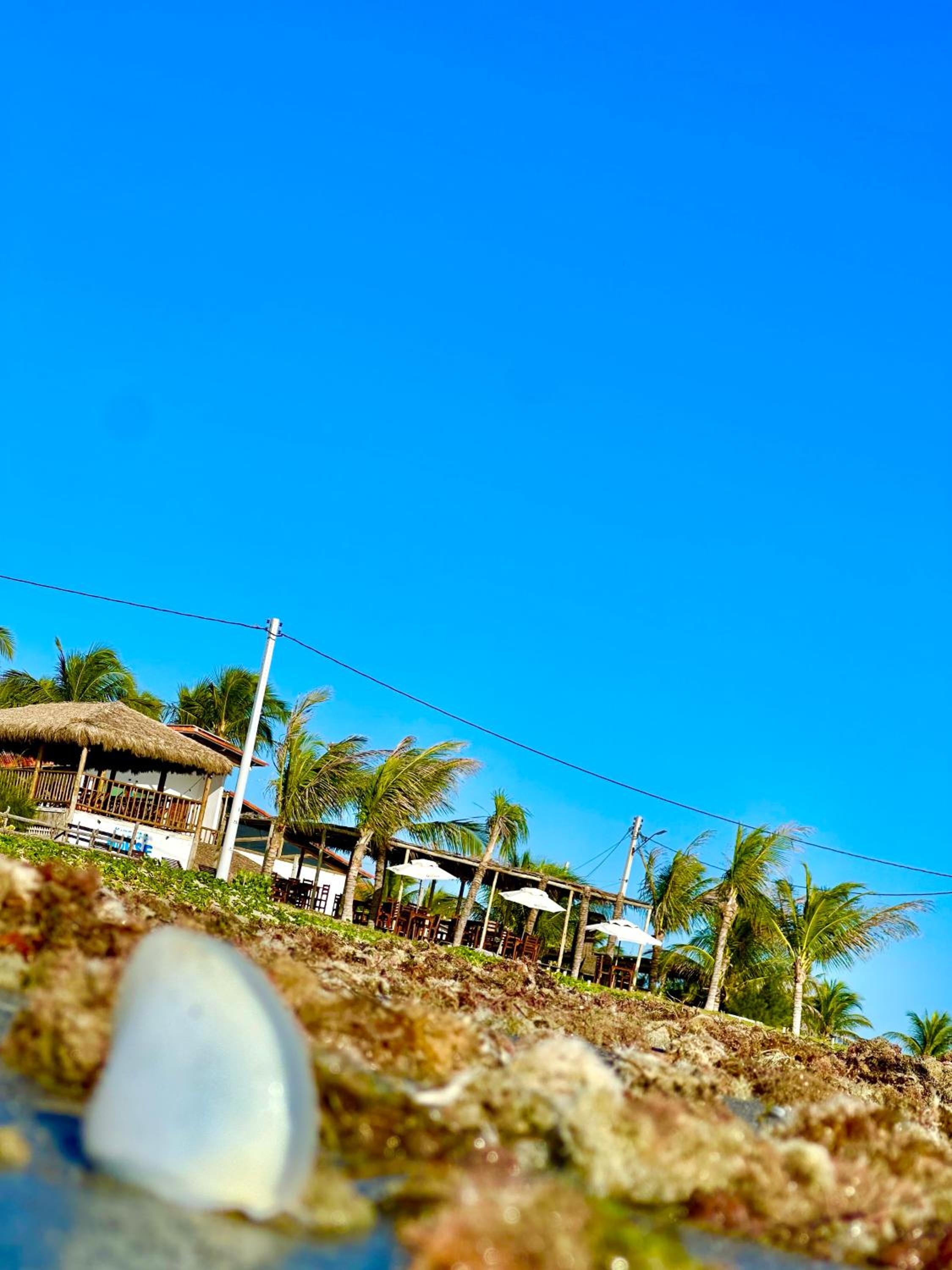 Seu Pedro Lounge Praia - Pousada e Kite Center