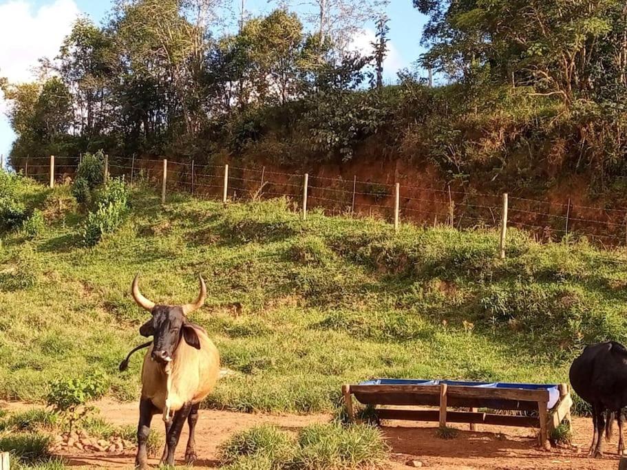 Chalé Fazenda Paiol - Santo Antônio do Alto do Rio Grande