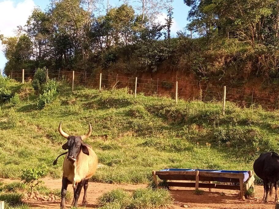 Chalé Fazenda Paiol - Santo Antônio do Alto do Rio Grande