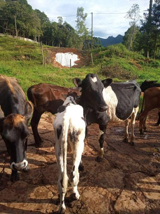 Chalé Fazenda Paiol - Santo Antônio do Alto do Rio Grande