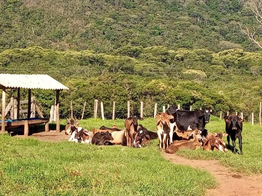 Chalé Fazenda Paiol - Santo Antônio do Alto do Rio Grande