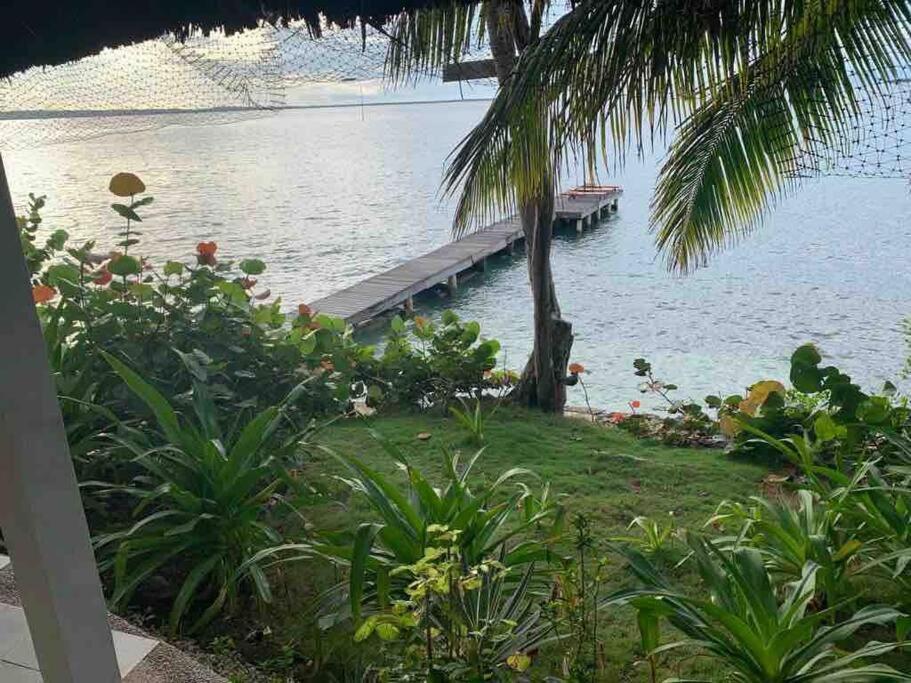 Isla Amor
