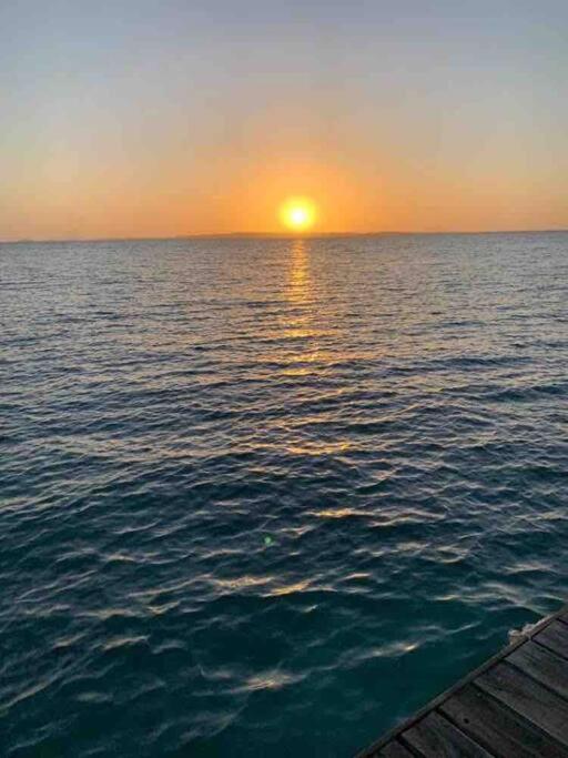 Isla Amor