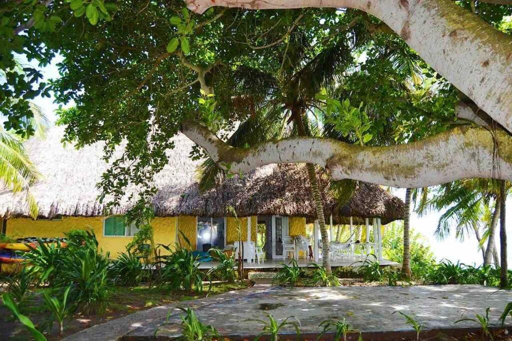 Isla Amor
