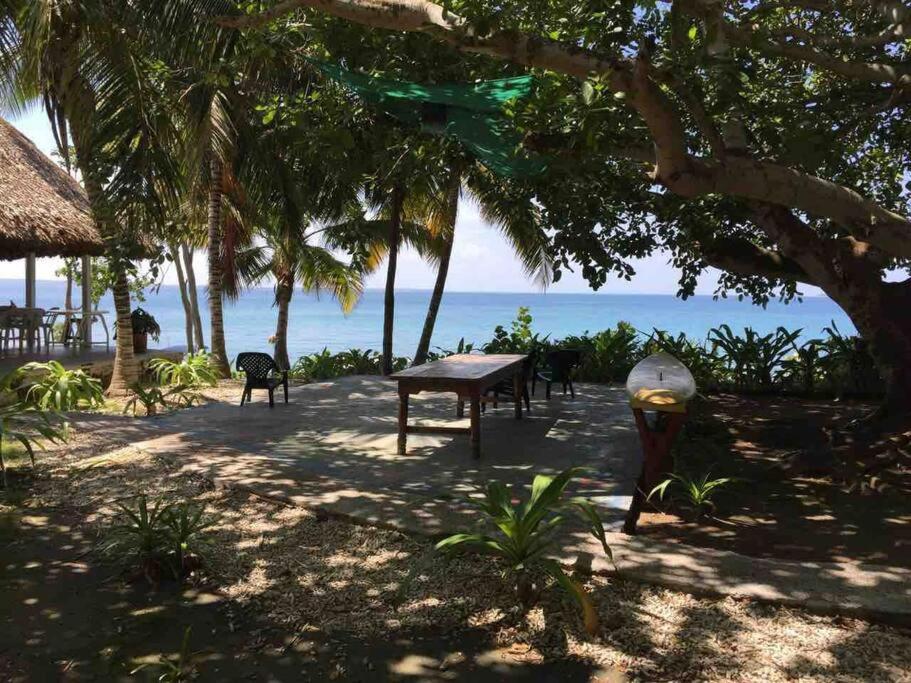 Isla Amor