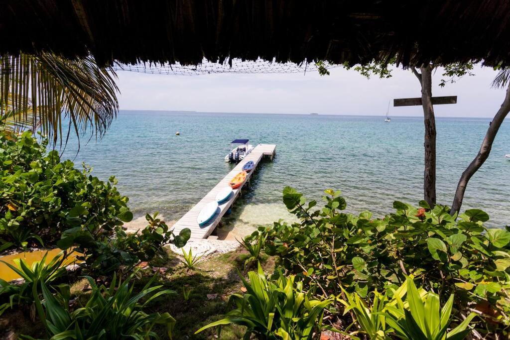 Isla Amor