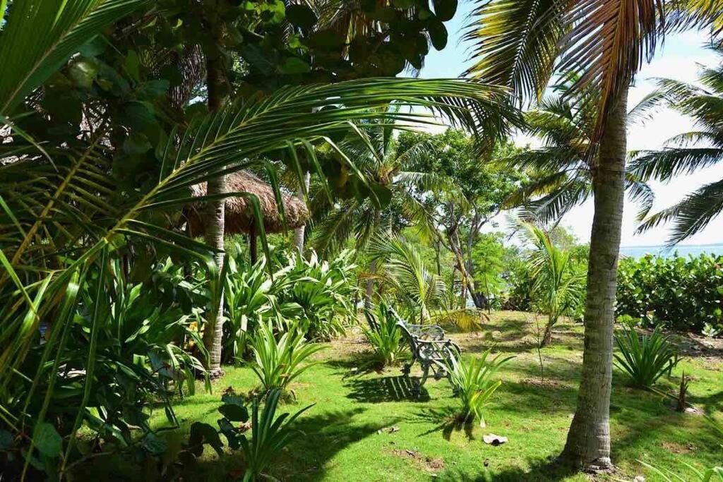 Isla Amor