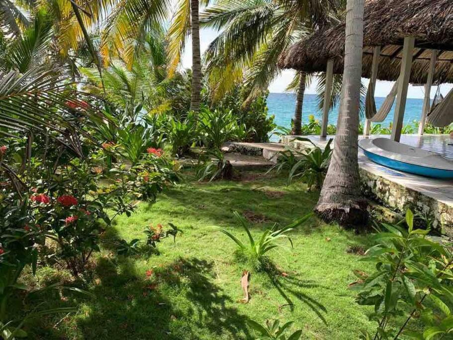 Isla Amor