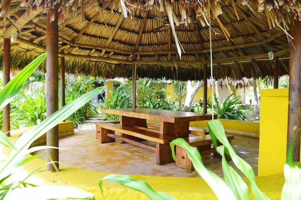 Isla Amor