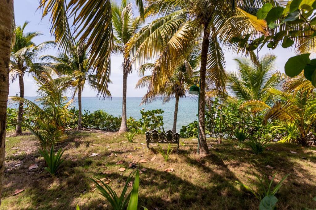 Isla Amor