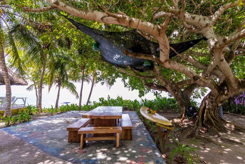 Isla Amor