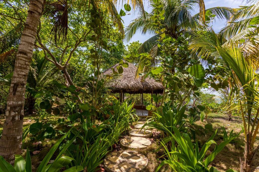 Isla Amor
