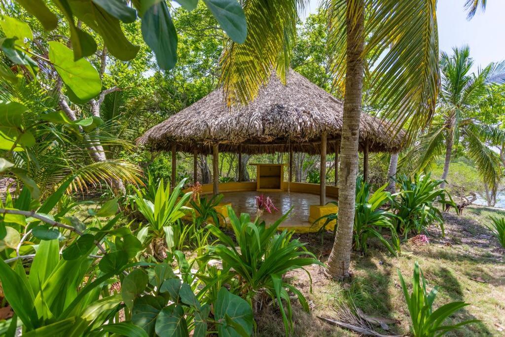 Isla Amor