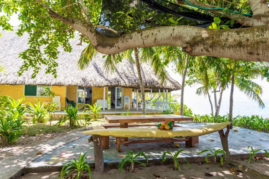 Isla Amor