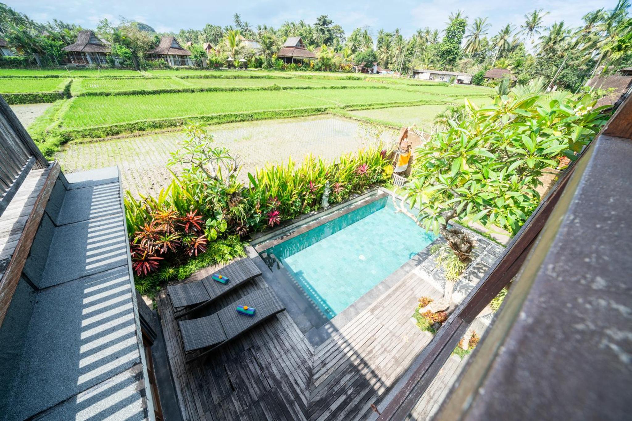 Panorama Paddy Paradise view 3