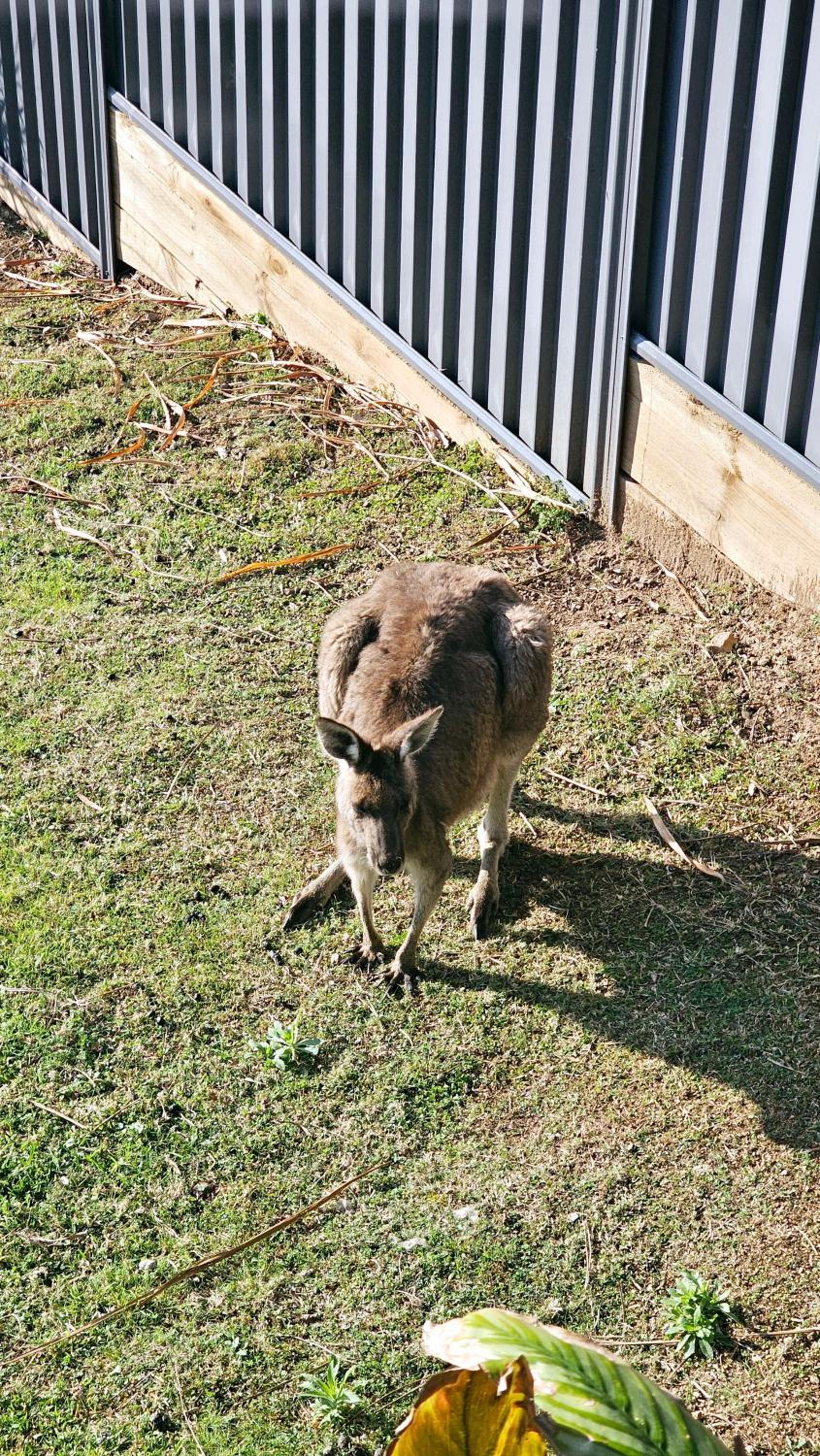 Three Sisters at Long Beach managed by Batemans Bay Accom