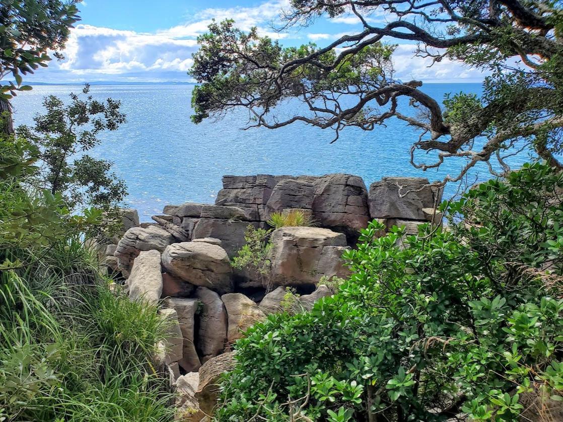 Waipū Thunder Domes no.1 offgrid eco glamping dome view 5