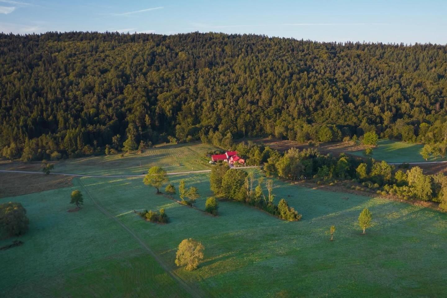 Rzepedka view 3