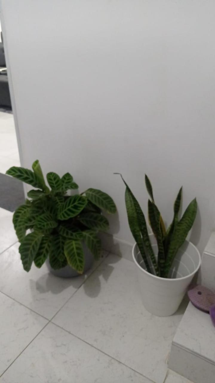 Habitación de Lujo para Pareja