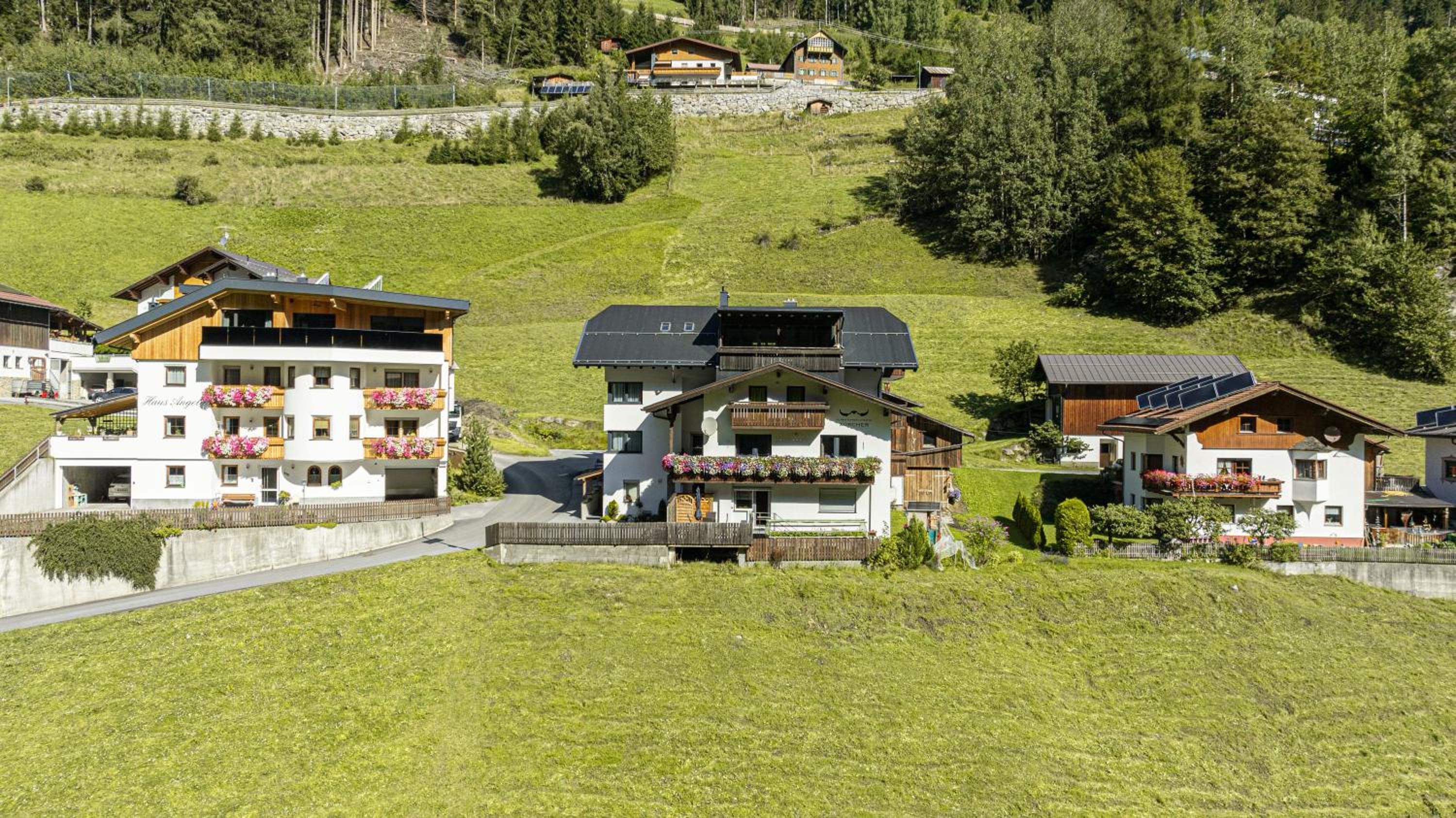Alpen-Appartements Zürcher