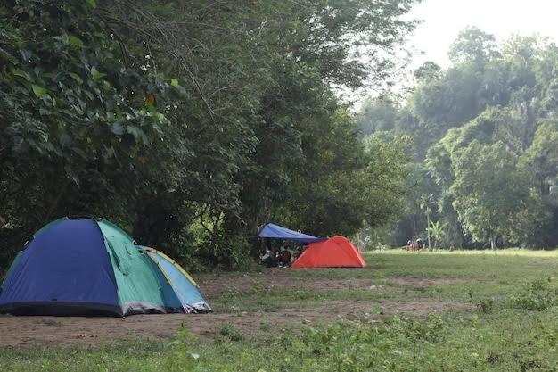 Camp in Abuja at park and zoo view 4