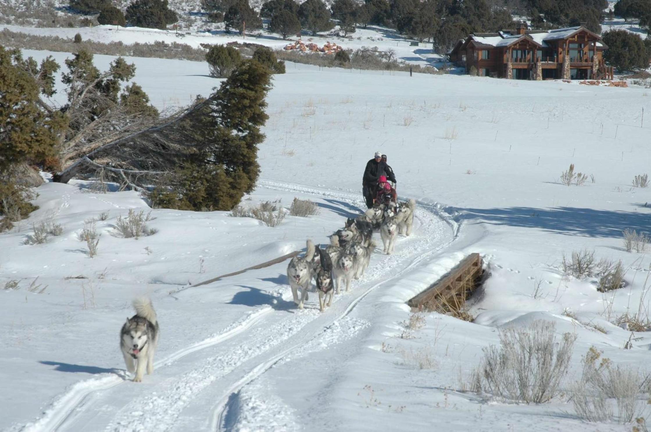 Hyatt Centric Park City, Billede 7