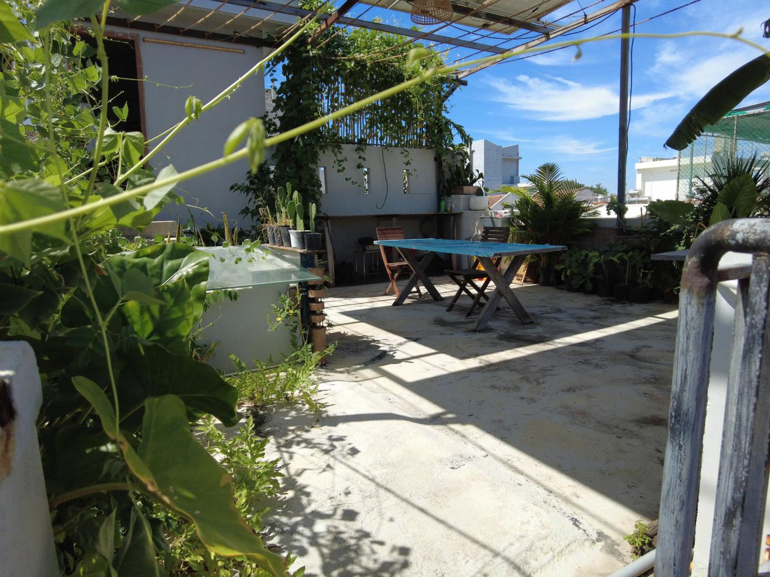 Photo 6