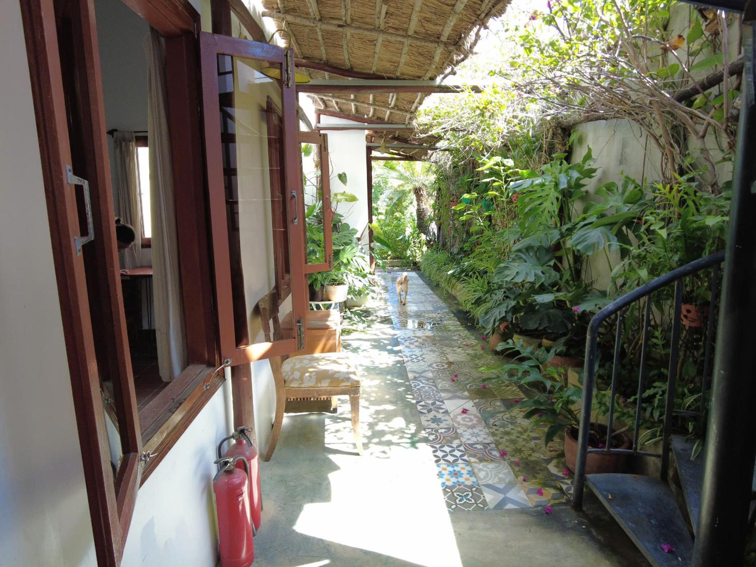 Photo 21