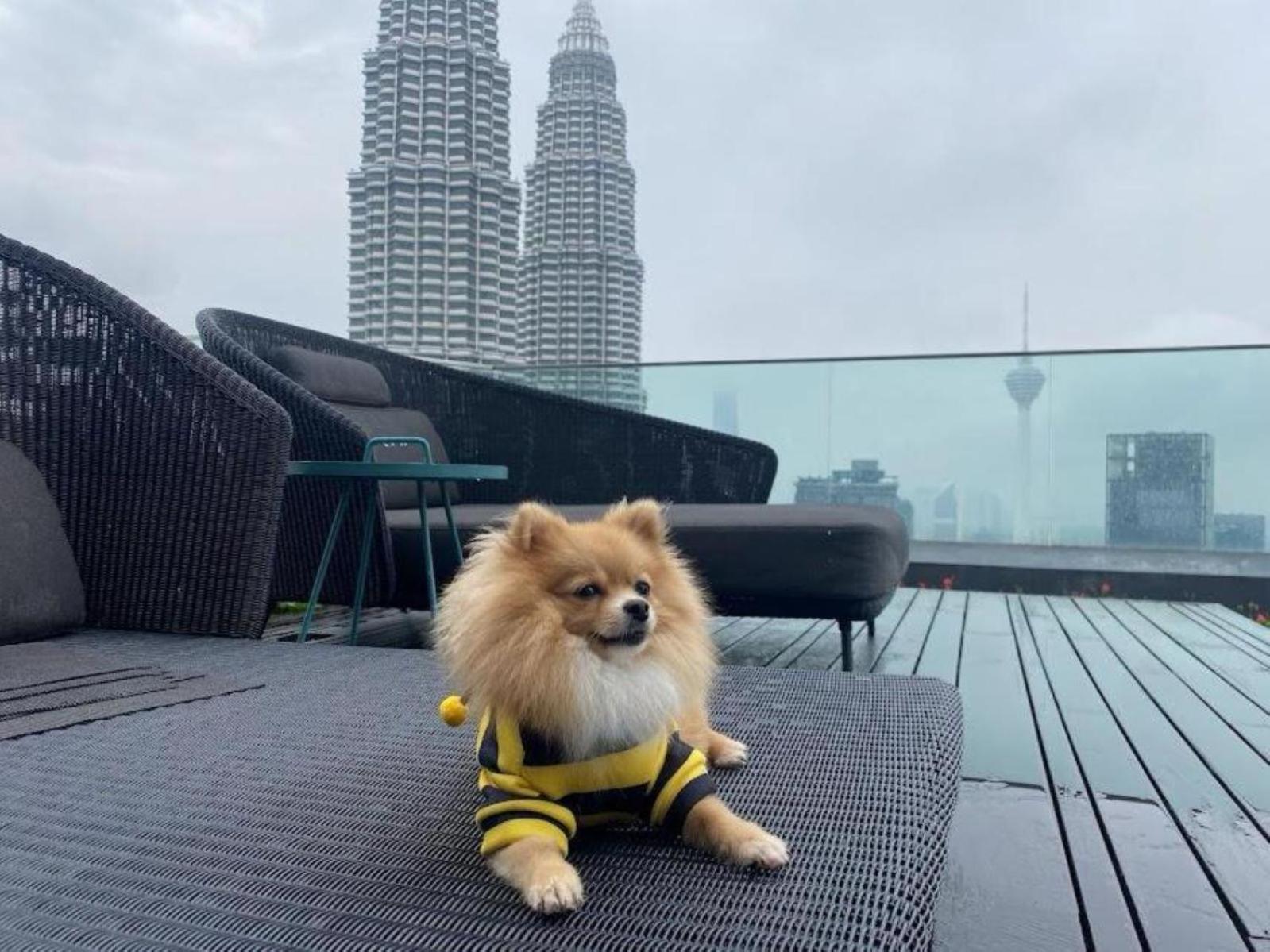 STAR KLCC Serviced Apartment