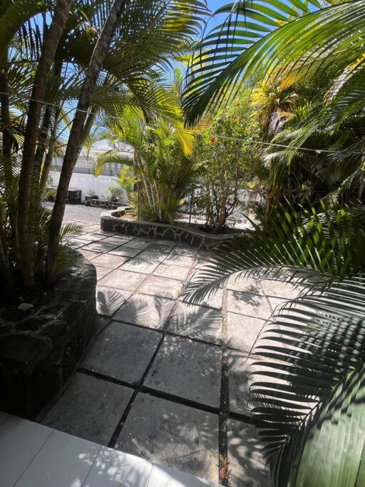 Appartement Baobab 2 view 2