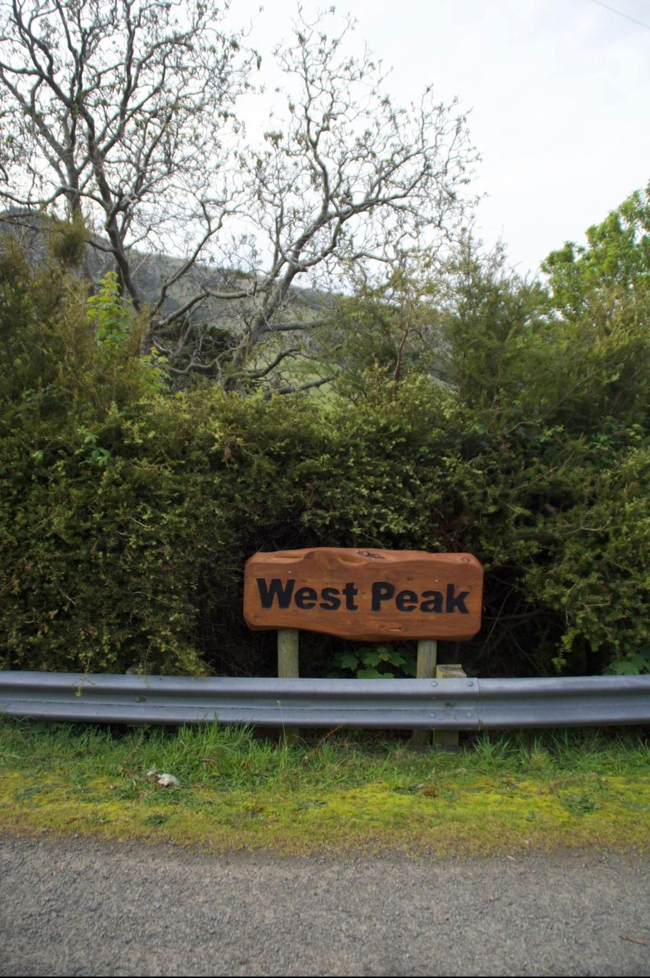 Okains Bay West Peak Cottage view 5