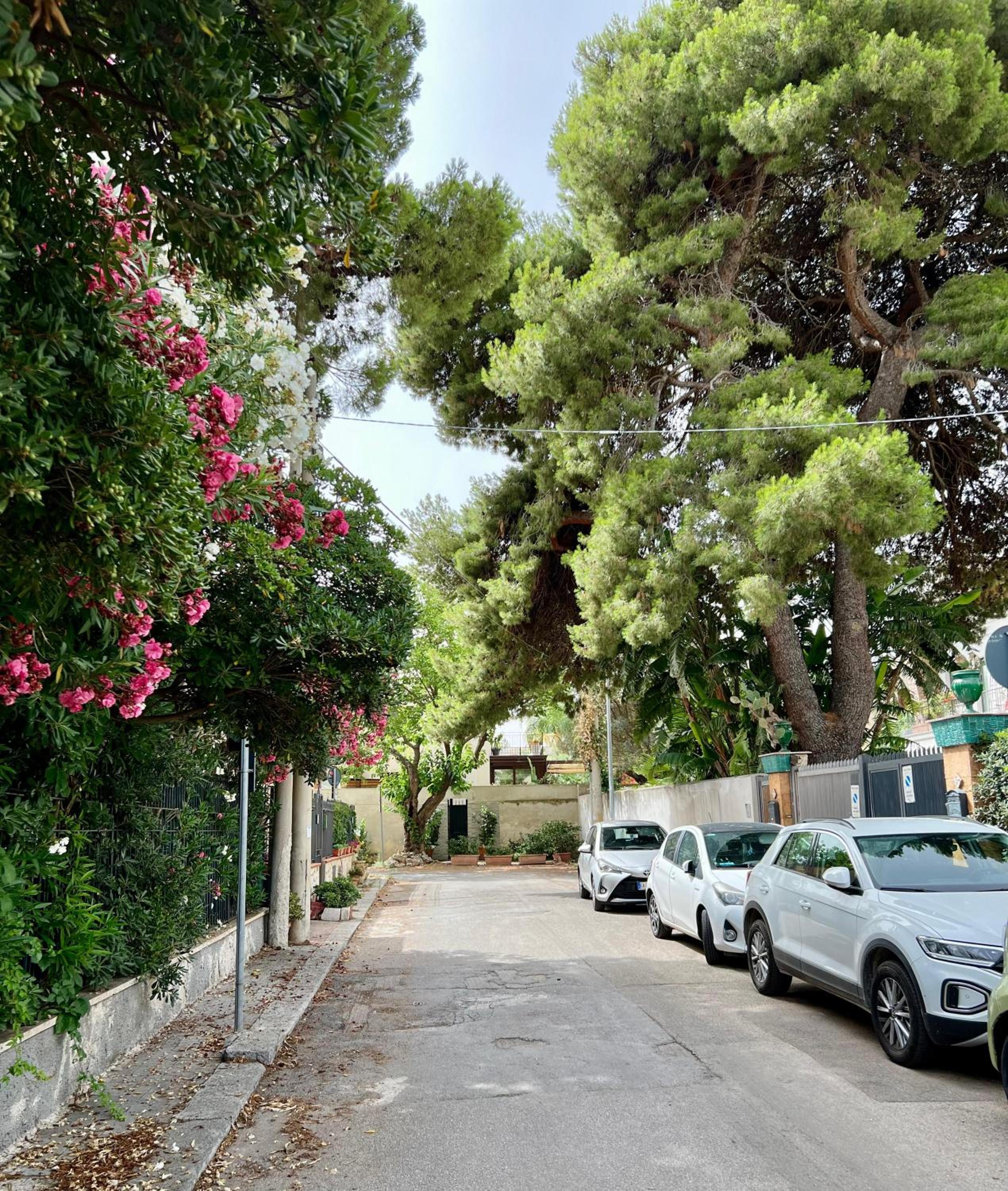 parking
